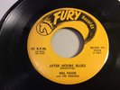 HAL PAIGE & WHALERS-FURY 1024-AFTER HOURS BLUES/GOING BACK TO MY HOMETOWN-BLUES
