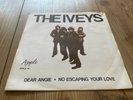 THE IVEYS dear angie  SWEDISH PS apple 14 BADFINGER beatles 45