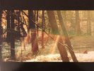 Childish Gambino Camp 180gm vinyl 2 LP Double Gatefold NEW/SEALED