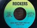 Black Man's Heart Cries Out - Junior Delgado
