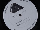 PETE SHELLEY Homosapien ARISTA LP VG+ test pressing with tracklist o