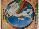 STEVE MILLER BAND BOOK OF DREAMS CAPITOL RECORDS  1977 PICTURE DISC  SEAX-11903