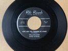 Larktones DOO WOP 45 Why Are You Tearing Us Apart / Nosy Neighbors RIKI VG HEAR