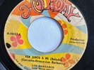 LOS BARBAROS - Solo Una Sonrisa / NICARAGUA FUZZ PSYCH 45