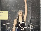 Taylor Swift Should've Said No Single 7