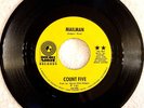 COUNT FIVE - MAILMAN / PRETTY BIG MOUTH (1969 Double Shot 141) rare orig. 7