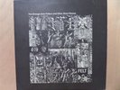 FELT - Strange Idols Pattern and Other Short Stories  LP 1984 Cherry Red France