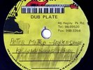 PETER METRO DUBPLATE REGGAE RECORDS 10