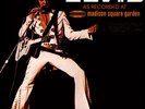 Elvis Presley - As Recorded At Madison Square Garden (Vinyl 2LP - EU)