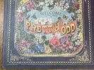 vinyl record collectors edition Panic at the Disco Pretty Odd 