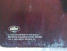 wildside under the influence vinyl