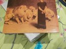 THE SOUND FROM THE LIONS MOUTH KOROVA RECORDS 1981