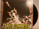 THE GARDEN Kiss My Super Bowl Ring LP vinyl epitaph puzzle enjoy twins route 66