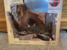 Dave Matthews Band - Walk Around the Moon Limited Edition Red Color Vinyl LP New