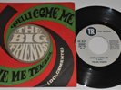 THE BIG FRIENDS QUELLI COME ME \ LOVE ME TENDER RARE 45 GIRI