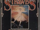 Strawbs vinyl LP  record Grave New World + Booklet... UK