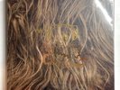 SUPER FURRY ANIMALS - SFA AT THE BBC * 4 x VINYL LP * LTD STR044LP * FREE P&P UK