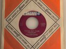 The Fortunes / You've Got Your Troubles / 1965 Press 45 / NM