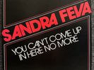 Epicenter & Sandra Feva You Can't Come Up In Here No More Vinyl 12 Inch Single