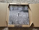 Taylor Swift Folklore In The Weeds Limited Edition Deluxe Vinyl LP NEW SEALED