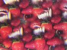 THEE OH SEES - FLOATING COFFIN NEW VINYL