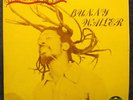 BUNNY WAILER - ROCK N GROOVE - 1981  SOLOMONIC JAMACIA RAGGAE LP Album VG