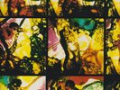 the pooh sticks multiple orgasm lp uk original on fierce records signed sleeve