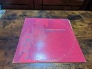 TWENTIETH CENTURY ZOO Thunder On A Clear Day LP 1968 US Vault  psych fuzz