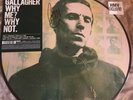 Liam Gallagher Oasis Why Me Why Not Hand Signed Picture Disc Brand New