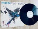 [Test Pressing] Camouflage 