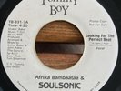 AFRIKA BAMBAATAA & SONIC SOUL FORCE Looking for The Perfect Beat PROMO TB-831-7