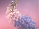 FLUME - Skin - Vinyl (clear vinyl 2xLP + MP3 download code)
