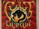 THE CULT LIL DEVIL UK LIMITED 12