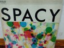 Yamashita Tatsuro Spacy 1977 Dancer LP City Pop Record Vinyl RVL-8006 No Band