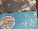 vinyl records classic rock  pink  floyd