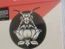 Blondie Pollinator Limited Edition 6 Piece Vinyl Set With Art Cards. Signed Band