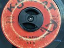 THE BROTHER LOVE CONGREGATION BLC- I Don’t Wanna Go 45 KUMQUAT RARE TEXAS PSYCH