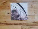 Pearl Jam - Vs LP, EXC Vinyl 1993 Grunge Classic