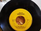 Les Rapaces MAP COUPE CANNES Emeraude Psych Biguine Guadeloupe Hear