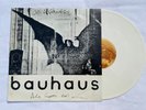 Bauhaus Bela Lugosi's Dead 1979 12