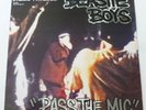 THE BEASTIE BOYS Pass the Mic   ETCHED ONE SIDED  12