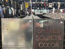 ALABAMA SHAKES 2 SEALED LP'S BOYS & GIRLS SOUND & COLOR