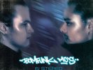 Bomfunk MC's In Stereo (Vinyl) 12