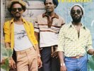 Viceroys - We Must Unite LP - Deep 70s Roots Reggae Vinyl SEALED