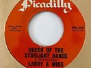 Doo Wop R&B 45 LARRY & MIKE Queen Of The Starlight Dance/We Fell In Love NM