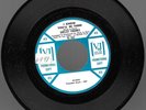 SHELLEY FABARES-I KNOW YOU'LL BE THERE/LOST SUMMER LOVE-VJ DJ 45 MINT RARE