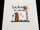 EDIE BRICKELL & NEW BOHEMIANS 