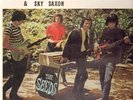 The Seeds & Sky Saxon Bad Part Of Town NEAR MINT EVA Records Vinyl LP