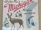 Sufjan Stevens - Michigan LP University of Michigan Michigan State AKR Vinyl New