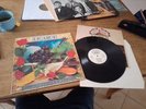 LIGABUE-LAMBRUSCO COLTELLI ROSE &POP CORN-1°STAMPA 1991-LP